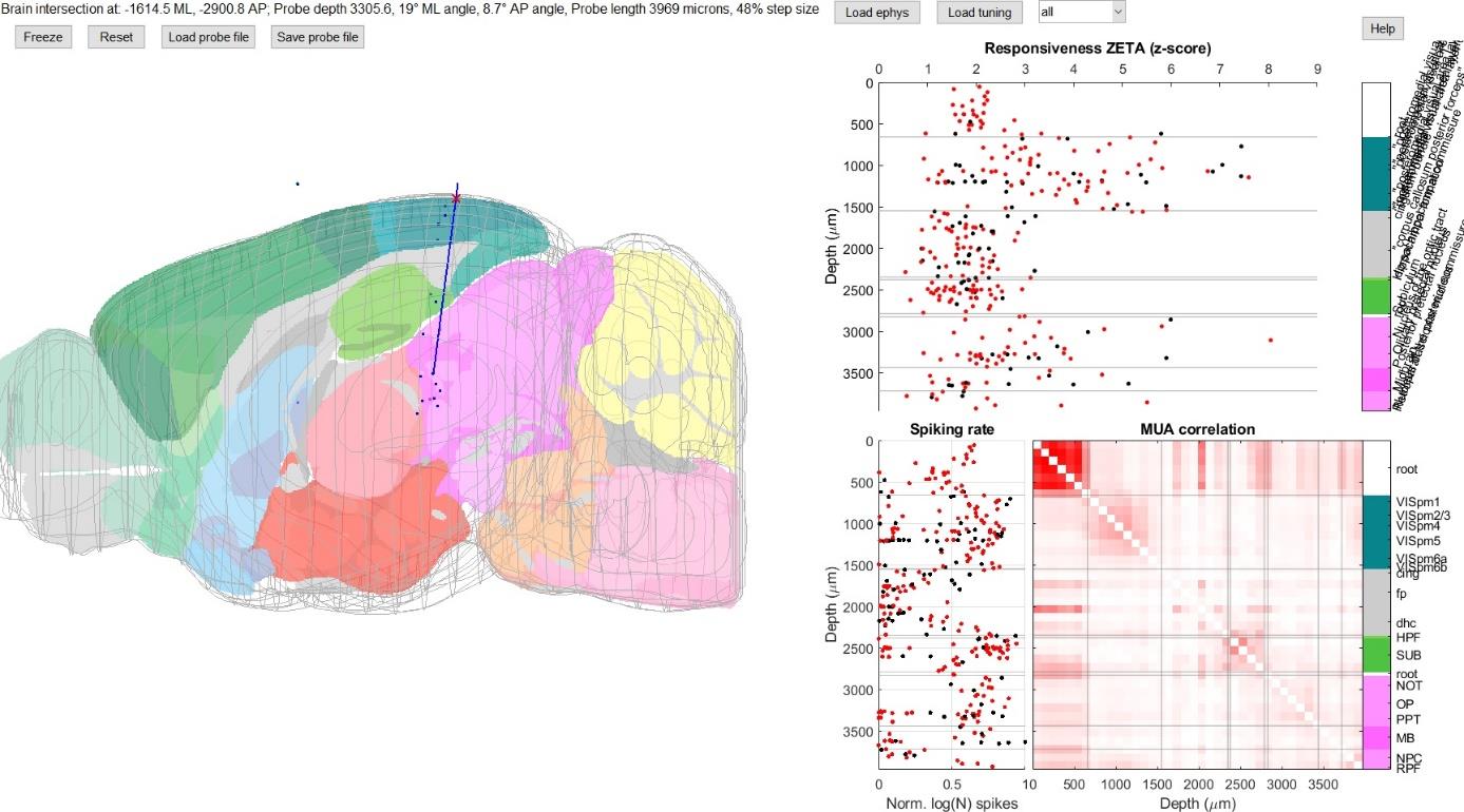 Example ProbeFinder view